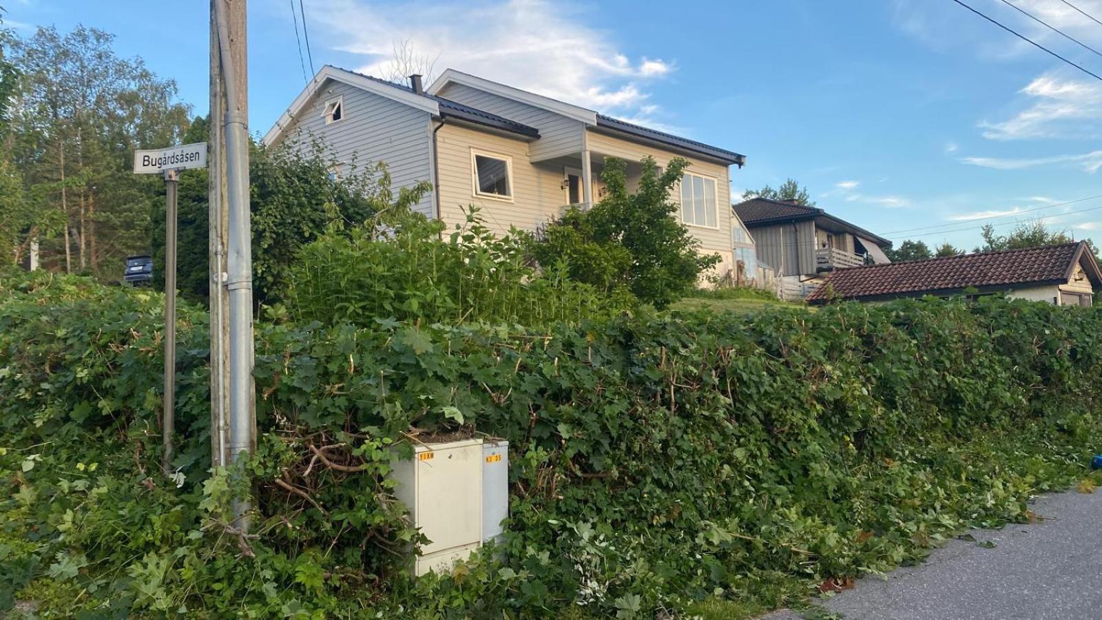 桑讷菲尤尔Bugardsasen1, Whole House别墅 外观 照片